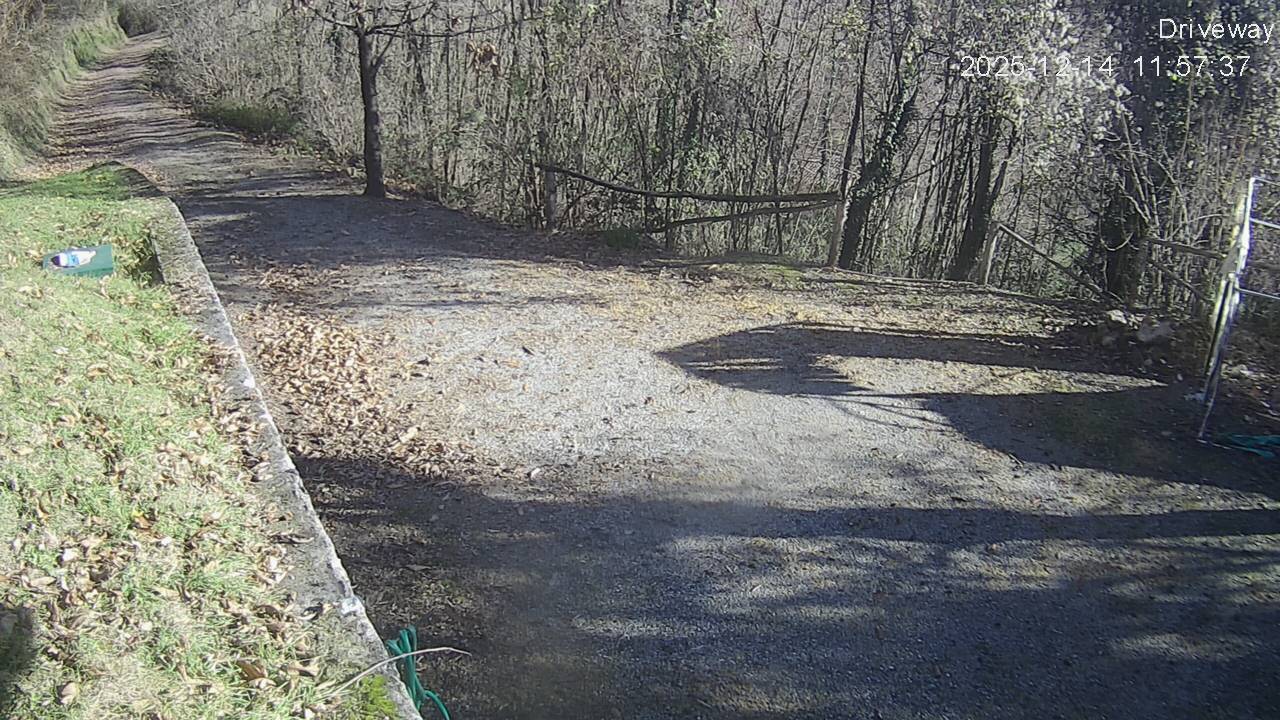 A rural gravel driveway curving into bare winter woods in Italy — fallen leaves, low sunlight and long shadow, a stone retaining wall, empty.